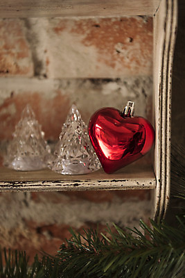 포토 JPG 주간 식물 크리스마스 겨울 크리스마스용품 휴식 사랑 사람없음 야외 하트 오브젝트 설레임 국내포토 자연요소 모양 계절 기념일 감정 컨셉 용품 파일형식