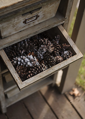 포토 JPG 주간 크리스마스 겨울 크리스마스용품 휴식 사람없음 야외 오브젝트 설레임 국내포토 자연요소 계절 기념일 감정 컨셉 용품 파일형식