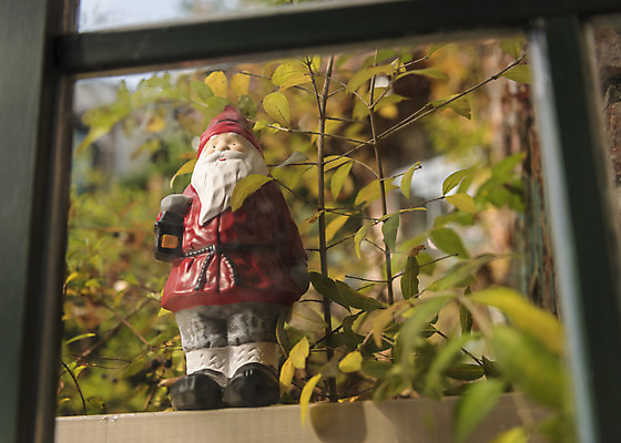 포토 JPG 주간 식물 크리스마스 겨울 창문 크리스마스용품 휴식 사람없음 야외 산타클로스 창가 오브젝트 설레임 국내포토 자연요소 계절 기념일 감정 컨셉 용품 파일형식