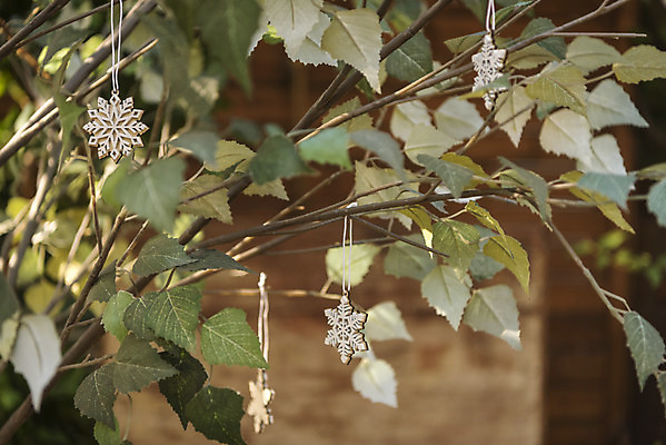 포토 JPG 주간 나무 크리스마스 겨울 크리스마스용품 휴식 나뭇잎 사람없음 야외 아웃포커스 모형 눈송이 오브젝트 설레임 국내포토 자연요소 식물 계절 기념일 감정 컨셉 잎 눈_날씨 촬영기법 용품 파일형식