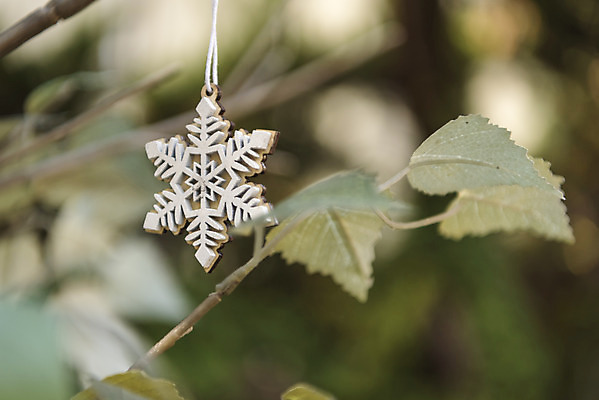 포토 JPG 주간 나무 크리스마스 겨울 크리스마스용품 휴식 나뭇잎 사람없음 야외 모형 눈송이 오브젝트 설레임 국내포토 자연요소 식물 계절 기념일 감정 컨셉 잎 눈_날씨 용품 파일형식