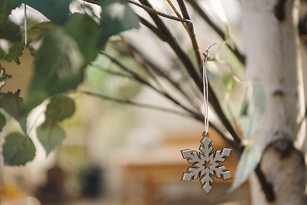 포토 JPG 주간 나무 크리스마스 겨울 크리스마스용품 휴식 나뭇잎 사람없음 야외 모형 눈송이 오브젝트 설레임 국내포토 자연요소 식물 계절 기념일 감정 컨셉 잎 눈_날씨 용품 파일형식