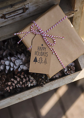 포토 JPG 주간 크리스마스 겨울 크리스마스용품 휴식 사람없음 야외 선물상자 오브젝트 서랍장 솔방울 설레임 국내포토 자연요소 계절 기념일 감정 가구 컨셉 선물 상자 용품 파일형식