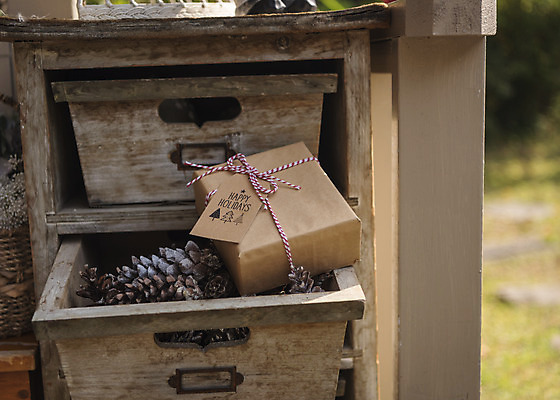 포토 JPG 주간 크리스마스 겨울 크리스마스용품 휴식 사람없음 야외 선물상자 오브젝트 서랍장 솔방울 설레임 국내포토 자연요소 계절 기념일 감정 가구 컨셉 선물 상자 용품 파일형식