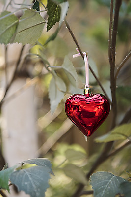 포토 JPG 주간 크리스마스 겨울 크리스마스용품 휴식 나뭇잎 사람없음 야외 아웃포커스 나뭇가지 하트 오브젝트 설레임 국내포토 자연요소 모양 나무 계절 기념일 감정 컨셉 잎 촬영기법 용품 파일형식