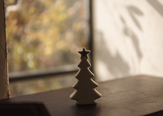 포토 JPG 주간 크리스마스 겨울 크리스마스용품 휴식 사람없음 야외 아웃포커스 크리스마스트리 오브젝트 역광 설레임 미니트리 국내포토 자연요소 계절 기념일 감정 컨셉 촬영기법 용품 파일형식