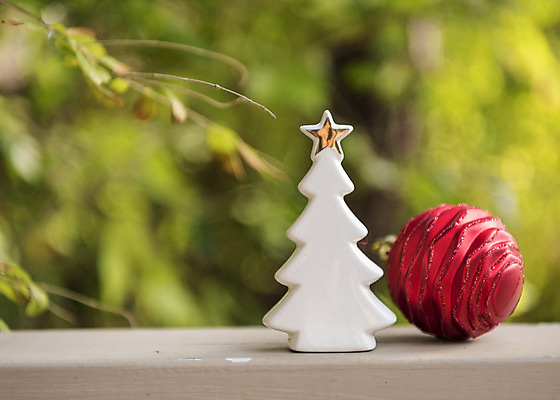 포토 JPG 주간 크리스마스 겨울 크리스마스용품 휴식 사람없음 야외 아웃포커스 크리스마스트리 장식볼 오브젝트 설레임 미니트리 국내포토 자연요소 계절 기념일 감정 컨셉 촬영기법 장식 용품 파일형식