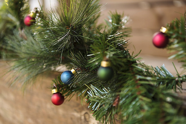 포토 JPG 주간 식물 잎 크리스마스 겨울 크리스마스용품 휴식 근접촬영 사람없음 야외 장식볼 오브젝트 설레임 국내포토 자연요소 계절 기념일 감정 뷰포인트 컨셉 장식 용품 파일형식