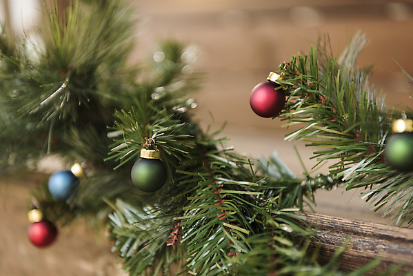 포토 JPG 주간 식물 잎 크리스마스 겨울 크리스마스용품 휴식 근접촬영 사람없음 야외 아웃포커스 장식볼 오브젝트 설레임 국내포토 자연요소 계절 기념일 감정 뷰포인트 컨셉 촬영기법 장식 용품 파일형식