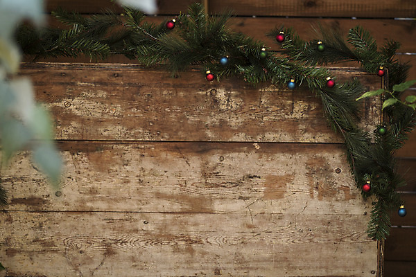 포토 JPG 주간 식물 잎 크리스마스 겨울 크리스마스용품 휴식 사람없음 야외 장식볼 오브젝트 설레임 국내포토 자연요소 계절 기념일 감정 컨셉 장식 용품 파일형식