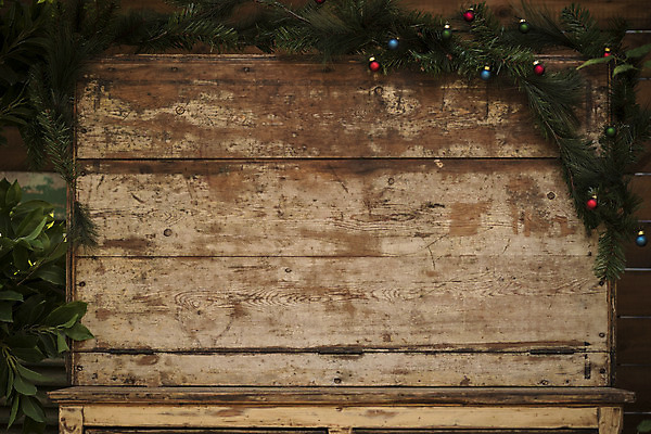 포토 JPG 주간 식물 잎 크리스마스 겨울 크리스마스용품 휴식 사람없음 야외 장식볼 오브젝트 설레임 국내포토 자연요소 계절 기념일 감정 컨셉 장식 용품 파일형식