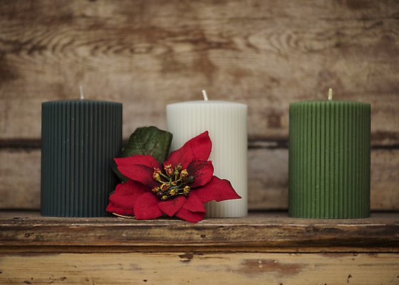 포토 JPG 주간 꽃 크리스마스 겨울 초 크리스마스용품 휴식 사람없음 야외 세개 오브젝트 설레임 포인세티아 탁상 국내포토 자연요소 식물 계절 기념일 감정 가구 컨셉 3 용품 파일형식