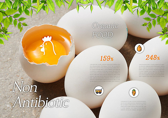 PSD 템플릿 편집 표지디자인 북디자인 출판디자인 내지 리플렛 잎 북커버 비즈니스 팜플렛 사람없음 계란 여러개 신선 유기농 노른자 이미지템플릿 식물 웰빙 다수 알 파일형식