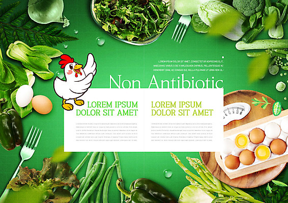 PSD 템플릿 편집 표지디자인 북디자인 출판디자인 내지 리플렛 포크 채소 북커버 비즈니스 저울 팜플렛 사람없음 초록색 계란 신선 유기농 닭캐릭터 이미지템플릿 식기 웰빙 컬러 동물캐릭터 알 닭 파일형식