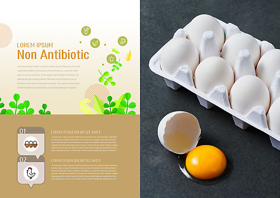 PSD 템플릿 편집 표지디자인 북디자인 출판디자인 내지 리플렛 잎 북커버 비즈니스 팜플렛 사람없음 갈색 계란 회색 신선 유기농 노른자 계란판 이미지템플릿 식물 웰빙 컬러 알 파일형식