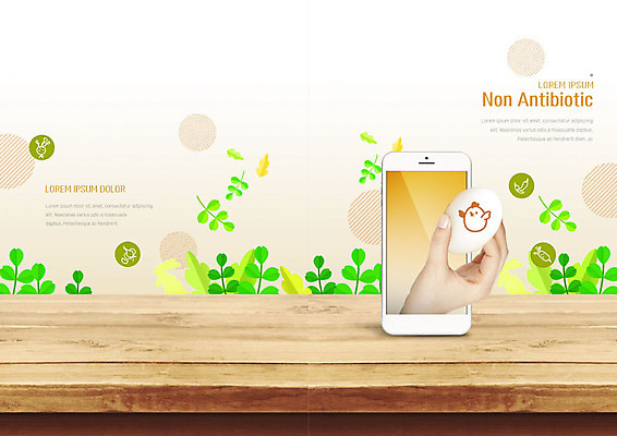 PSD 템플릿 편집 표지디자인 북디자인 손 출판디자인 표지 리플렛 잎 북커버 비즈니스 들기 팜플렛 신체부위 스마트폰 계란 신선 유기농 닭캐릭터 나무바닥 이미지템플릿 식물 웰빙 동물캐릭터 모션 바닥 사람 핸드폰 스마트기기 알 닭 파일형식