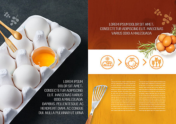 PSD 템플릿 편집 표지디자인 북디자인 출판디자인 내지 리플렛 북커버 비즈니스 팜플렛 사람없음 계란 주황색 여러개 회색 신선 유기농 뒤집개 노른자 계란판 이미지템플릿 웰빙 컬러 다수 주방용품 알 파일형식