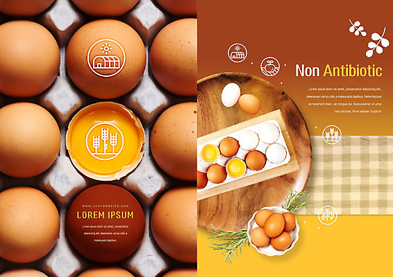 PSD 템플릿 편집 표지디자인 북디자인 출판디자인 표지 리플렛 북커버 비즈니스 팜플렛 사람없음 계란 주황색 여러개 신선 유기농 노른자 나무쟁반 이미지템플릿 웰빙 컬러 다수 쟁반 목재 알 파일형식