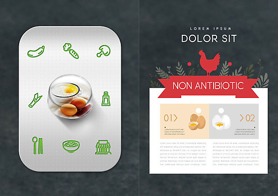 PSD 템플릿 편집 표지디자인 북디자인 출판디자인 내지 리플렛 북커버 비즈니스 팜플렛 사람없음 계란 회색 신선 가루 유기농 이미지템플릿 웰빙 컬러 알 파일형식