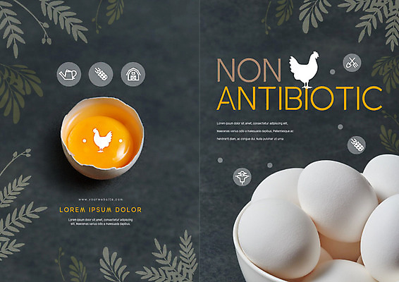 PSD 템플릿 편집 표지디자인 북디자인 출판디자인 표지 리플렛 잎 북커버 비즈니스 팜플렛 사람없음 계란 여러개 회색 신선 유기농 노른자 이미지템플릿 식물 웰빙 컬러 다수 알 파일형식