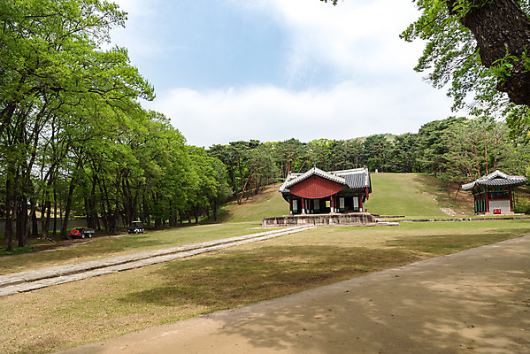 포토 JPG 주간 나무 구름 한국전통 여행 유적지 하늘 풍경 사람없음 야외 관광지 봄 세계문화유산 문화재 역사 한국사 조선시대 어로 정자각 조선왕릉 헌인릉 순원왕후 순조 신로 국내포토 자연요소 식물 전통 계절 고건축 한국 왕 왕릉 파일형식 왕후 향어로