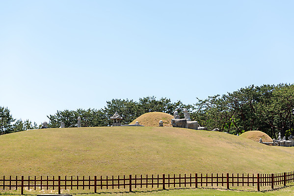 포토 JPG 주간 나무 한국전통 여행 유적지 하늘 풍경 사람없음 야외 관광지 봄 세계문화유산 문화재 무덤 역사 한국사 조선시대 경종 조선왕릉 봉분 의릉 선의왕후 국내포토 자연요소 식물 전통 계절 고건축 한국 왕 왕릉 파일형식 왕후