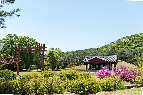 포토 JPG 주간 한국전통 꽃 여행 유적지 하늘 풍경 사람없음 야외 관광지 봄 세계문화유산 문화재 역사 한국사 조선시대 경종 정자각 조선왕릉 홍살문 의릉 선의왕후 국내포토 자연요소 식물 전통 계절 고건축 한국 왕 전통문 왕릉 파일형식 왕후