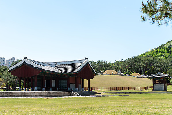 포토 JPG 주간 한국전통 여행 유적지 하늘 풍경 사람없음 야외 관광지 봄 세계문화유산 문화재 역사 한국사 조선시대 경종 어로 정자각 조선왕릉 의릉 선의왕후 신로 국내포토 자연요소 전통 계절 고건축 한국 왕 왕릉 파일형식 왕후 향어로
