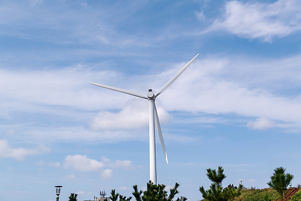 포토 JPG 주간 나무 구름 바다 하늘 풍경 사람없음 야외 관광지 가을 풍력에너지 군산 부안 새만금방조제 국내포토 자연요소 식물 계절 여행 그린에너지 전라북도 방조제 파일형식