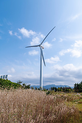 포토 JPG 주간 구름 바다 하늘 풍경 사람없음 야외 관광지 가을 풍력에너지 억새 군산 부안 새만금방조제 국내포토 자연요소 식물 계절 여행 그린에너지 전라북도 방조제 파일형식
