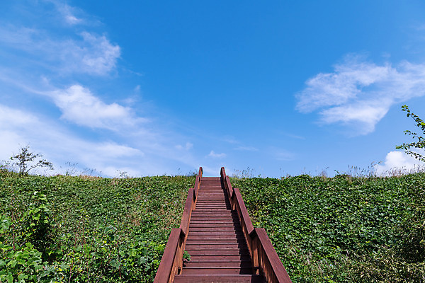 포토 JPG 주간 식물 구름 하늘 풍경 사람없음 야외 관광지 계단 가을 군산 부안 새만금방조제 국내포토 자연요소 계절 여행 전라북도 방조제 파일형식