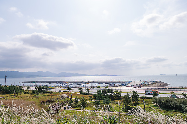 포토 JPG 주간 구름 바다 하늘 풍경 사람없음 야외 관광지 가을 억새 군산 부안 새만금방조제 가력도 가력도항 국내포토 자연요소 식물 계절 섬 여행 항구 전라북도 방조제 파일형식
