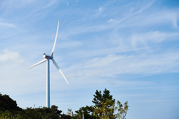 포토 JPG 주간 나무 구름 바다 하늘 풍경 사람없음 야외 관광지 가을 풍력에너지 군산 부안 새만금방조제 국내포토 자연요소 식물 계절 여행 그린에너지 전라북도 방조제 파일형식