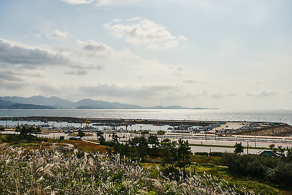 포토 JPG 주간 구름 바다 하늘 갈대 풍경 사람없음 야외 관광지 가을 억새 군산 부안 새만금방조제 국내포토 자연요소 식물 계절 여행 전라북도 방조제 파일형식