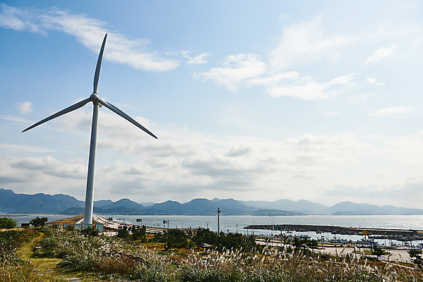 포토 JPG 주간 구름 바다 하늘 풍경 사람없음 야외 관광지 가을 풍력에너지 억새 군산 부안 새만금방조제 국내포토 자연요소 식물 계절 여행 그린에너지 전라북도 방조제 파일형식