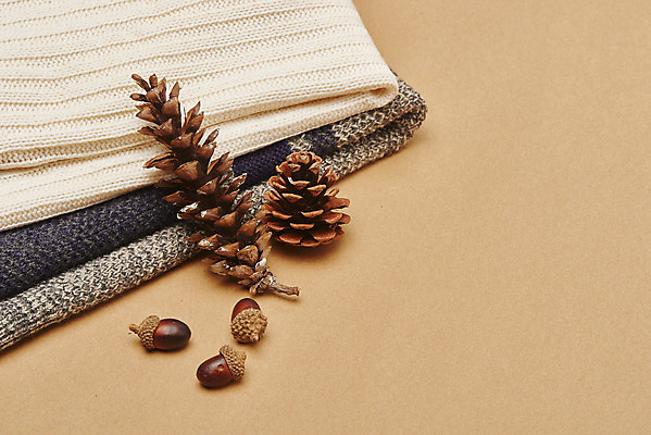 포토 JPG 스튜디오촬영 옷 겨울 재질 실내 따뜻함 사람없음 직물 오브젝트 니트 질감 도토리 솔방울 갈색배경 국내포토 계절 백그라운드 상의 내부 갈색 견과류 파일형식