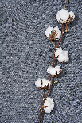 포토 JPG 스튜디오촬영 옷 겨울 재질 실내 따뜻함 사람없음 하이앵글 회색 직물 오브젝트 니트 질감 목화꽃 목화솜 플랫레이 국내포토 계절 꽃 뷰포인트 컬러 상의 내부 플랫 솜 파일형식