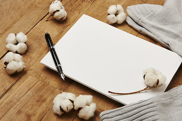 포토 JPG 스튜디오촬영 배너 옷 겨울 재질 사각프레임 프레임 실내 따뜻함 사람없음 만년필 직물 오브젝트 니트 질감 목화꽃 목화솜 나무배경 국내포토 계절 꽃 백그라운드 상의 내부 펜 사각형 솜 파일형식