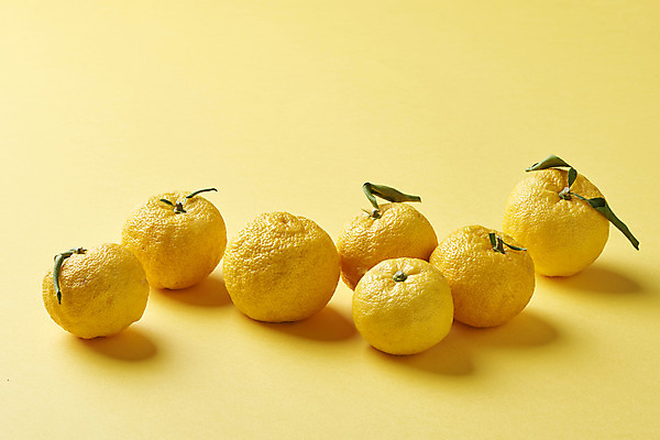 포토 JPG 스튜디오촬영 잎 과일 자연 실내 누끼 사람없음 농작물 여러개 신선 오브젝트 유기농 비타민 노란배경 유자 슈퍼푸드 국내포토 식물 웰빙 다수 백그라운드 농업 내부 노란색 생태계 건강식품 영양소 파일형식