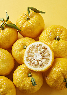 포토 JPG 스튜디오촬영 잎 과일 자연 단면 실내 누끼 근접촬영 사람없음 농작물 하이앵글 여러개 신선 오브젝트 유기농 비타민 노란배경 유자 플랫레이 슈퍼푸드 국내포토 식물 웰빙 뷰포인트 다수 백그라운드 농업 내부 노란색 플랫 생태계 건강식품 영양소 파일형식