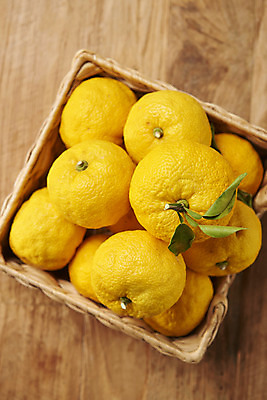 포토 JPG 스튜디오촬영 잎 과일 자연 실내 누끼 사람없음 농작물 하이앵글 여러개 신선 오브젝트 유기농 비타민 유자 플랫레이 슈퍼푸드 라탄바구니 나무배경 국내포토 식물 웰빙 뷰포인트 다수 백그라운드 농업 내부 바구니 플랫 생태계 건강식품 영양소 파일형식