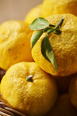 포토 JPG 스튜디오촬영 잎 과일 자연 실내 누끼 근접촬영 사람없음 농작물 여러개 신선 오브젝트 유기농 비타민 유자 슈퍼푸드 라탄바구니 나무배경 국내포토 식물 웰빙 뷰포인트 다수 백그라운드 농업 내부 바구니 생태계 건강식품 영양소 파일형식