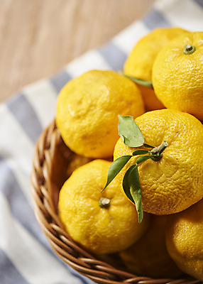 포토 JPG 스튜디오촬영 과일 자연 실내 누끼 근접촬영 사람없음 농작물 여러개 신선 천 오브젝트 유기농 비타민 유자 슈퍼푸드 라탄바구니 나무배경 국내포토 웰빙 뷰포인트 다수 백그라운드 농업 내부 바구니 직물 생태계 건강식품 영양소 파일형식