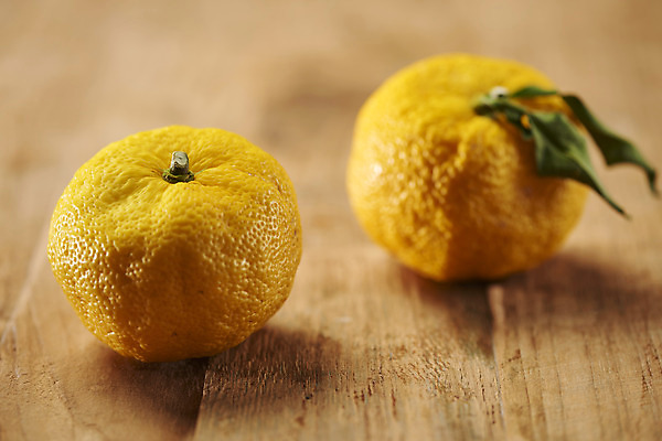 포토 JPG 스튜디오촬영 잎 과일 자연 실내 누끼 근접촬영 사람없음 아웃포커스 농작물 두개 신선 오브젝트 유기농 비타민 유자 슈퍼푸드 나무배경 국내포토 식물 웰빙 뷰포인트 백그라운드 2 농업 촬영기법 내부 생태계 건강식품 영양소 파일형식