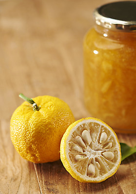 포토 JPG 스튜디오촬영 과일 자연 단면 실내 누끼 근접촬영 사람없음 농작물 두개 신선 오브젝트 유기농 비타민 유자 슈퍼푸드 유자청 나무배경 국내포토 웰빙 뷰포인트 백그라운드 2 농업 내부 생태계 건강식품 영양소 파일형식 과일청