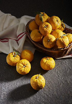 포토 JPG 스튜디오촬영 과일 자연 검은배경 실내 그림자 누끼 사람없음 농작물 여러개 신선 천 오브젝트 유기농 비타민 유자 슈퍼푸드 라탄바구니 국내포토 웰빙 다수 백그라운드 농업 내부 바구니 검은색 직물 생태계 건강식품 영양소 파일형식