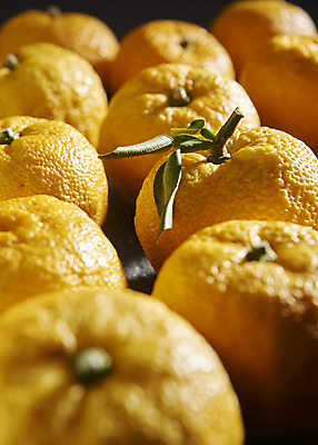 포토 JPG 스튜디오촬영 잎 과일 자연 검은배경 실내 누끼 근접촬영 사람없음 농작물 여러개 신선 오브젝트 유기농 비타민 유자 슈퍼푸드 국내포토 식물 웰빙 뷰포인트 다수 백그라운드 농업 내부 검은색 생태계 건강식품 영양소 파일형식