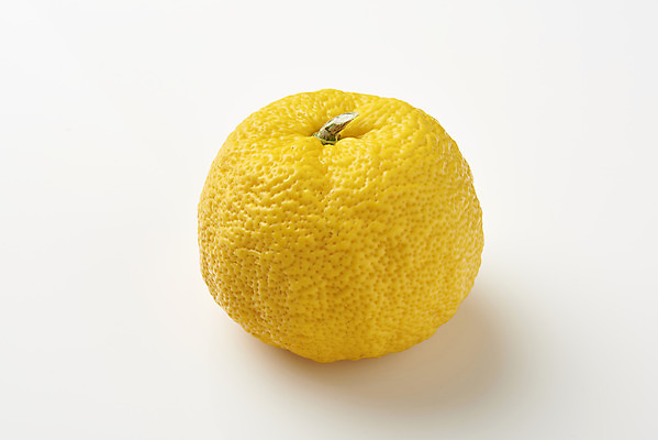 포토 JPG 스튜디오촬영 과일 자연 실내 누끼 사람없음 농작물 한개 신선 오브젝트 흰배경 유기농 비타민 유자 슈퍼푸드 국내포토 1 웰빙 백그라운드 농업 내부 흰색 생태계 건강식품 영양소 파일형식