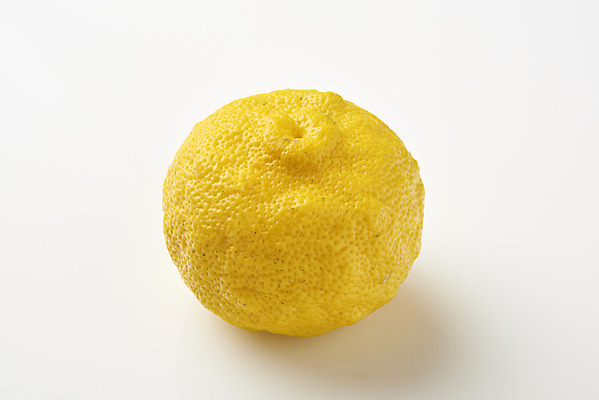 포토 JPG 스튜디오촬영 과일 자연 실내 누끼 사람없음 농작물 한개 신선 오브젝트 흰배경 유기농 비타민 유자 슈퍼푸드 국내포토 1 웰빙 백그라운드 농업 내부 흰색 생태계 건강식품 영양소 파일형식