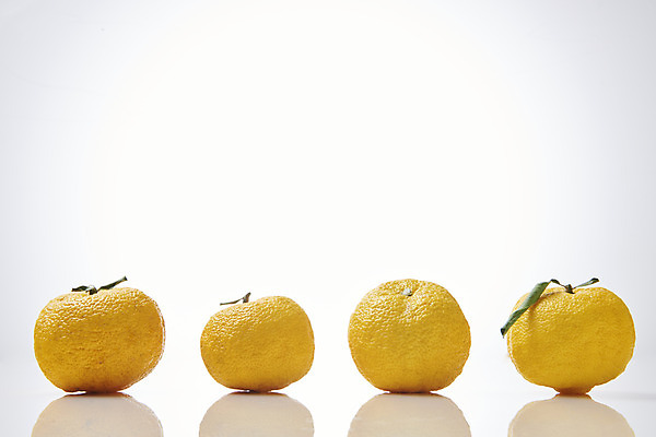 포토 JPG 스튜디오촬영 잎 과일 자연 실내 누끼 사람없음 농작물 반사 여러개 신선 오브젝트 흰배경 유기농 비타민 유자 슈퍼푸드 국내포토 식물 웰빙 다수 백그라운드 농업 내부 흰색 생태계 건강식품 영양소 파일형식